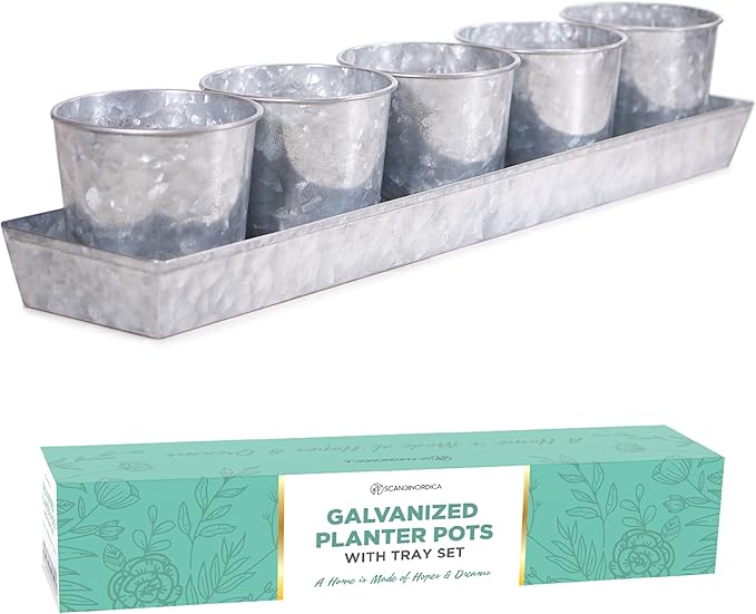 SCANDINORDICA Galvanized Herb Planter 5 Herb Pots with