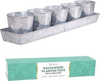 SCANDINORDICA Galvanized Herb Planter – 5 Herb Pots with Drainage Holes and Tray, Windowsill Planter, Indoor Herb Garden P...