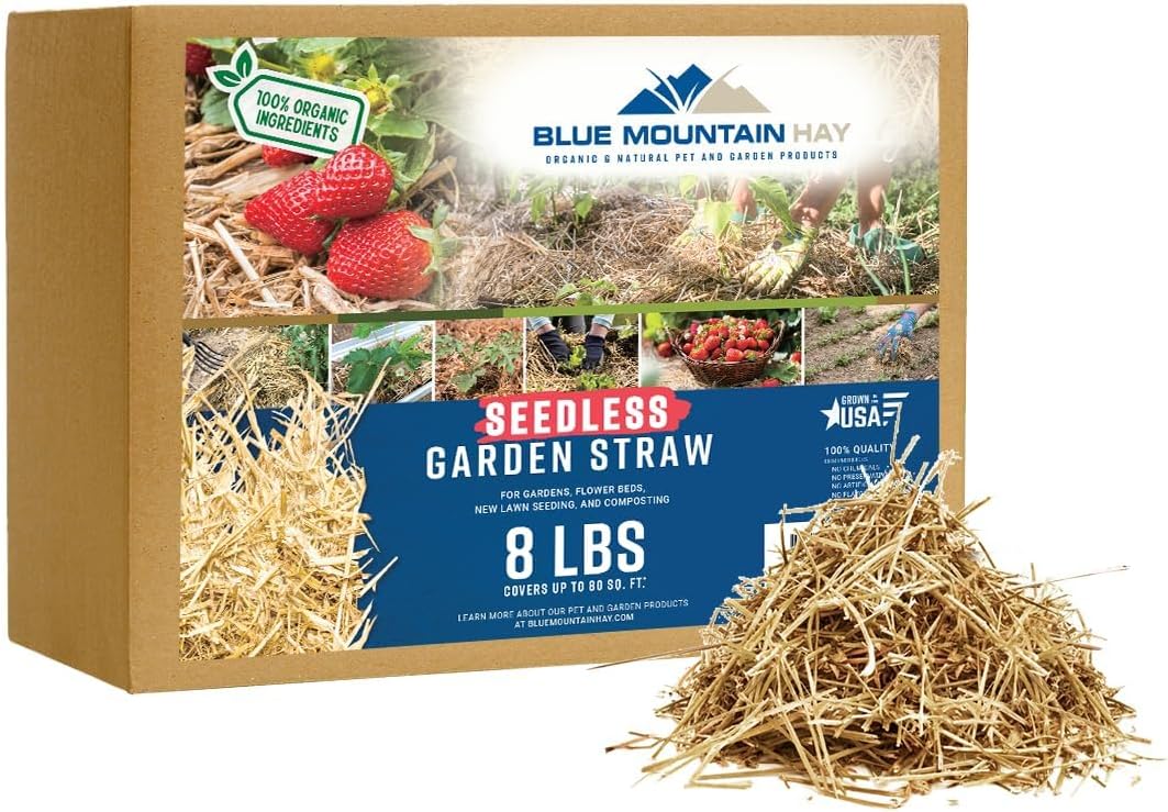Blue Mountain Hay Organic Seedless Garden Straw Mulch (8 lb) for Raised Garden Bed, New Grass Seeding, Composting, Landscaping Straws, Flower Beds | Covers up to 80 sq ft