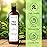 Majestic Pure 100% Pure Tea Tree Oil For Hair Growth - Strengthening, Nourishing, Volumizing - Infused with Jojoba Oil & Grapeseed Oil - Non GMO Verified - 6.7 Fl Oz