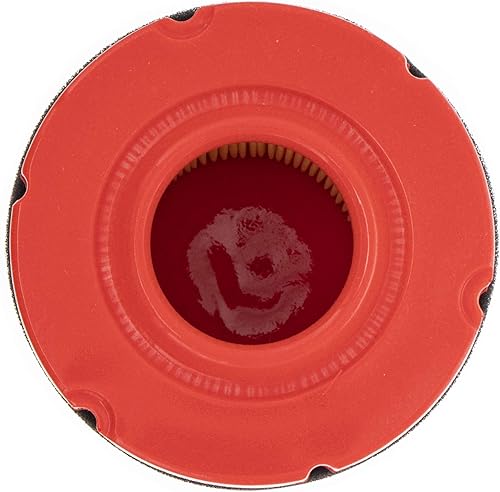 Miniatura 2 de CUB CADET 937-05066 Filtro de aire con prefiltro XT1 Enduro LT42 LT46 Tractores de césped