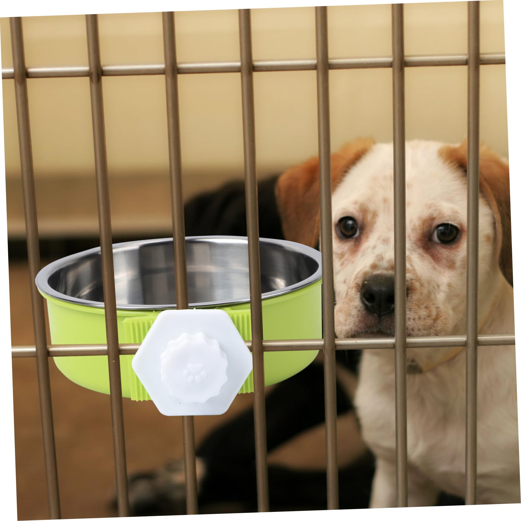 BESPORTBLE Pet Drinking Bowls Insulated Dog Water Bowl Portable Easy Stainless Steel Pet Feeder