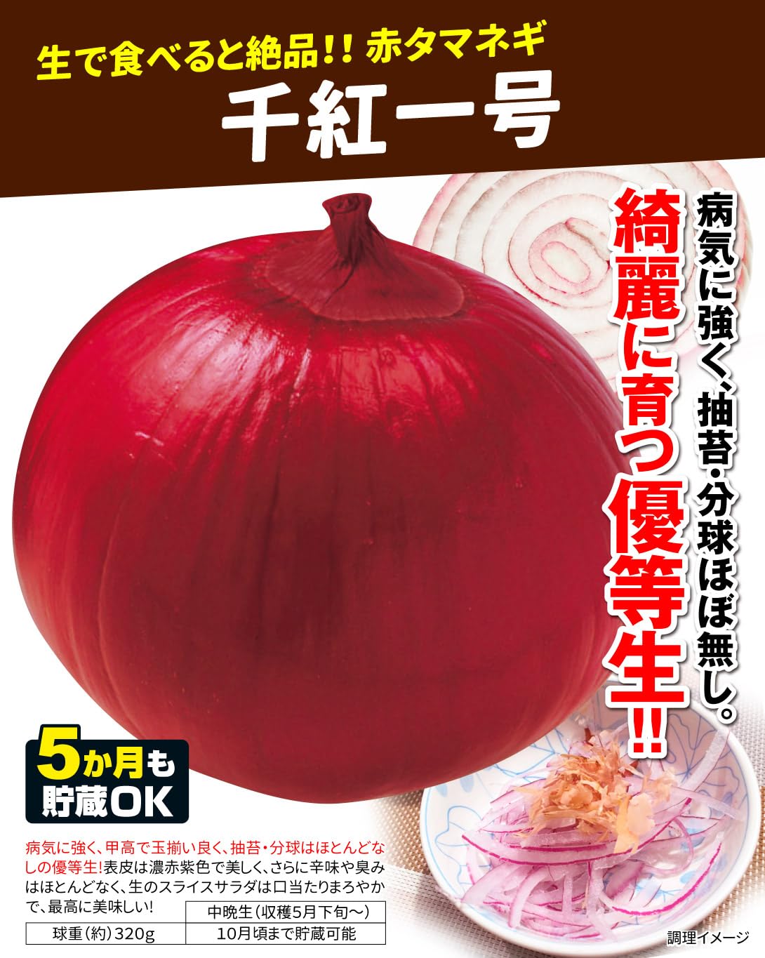 Amazon.co.jp: 玉ねぎ苗(中晩生)千紅一号 100本 / 国華園 25年秋商品 Amazon.co.jp: 玉ねぎ苗(中晩生)千紅一号 100本 / 国華園 25年秋商品