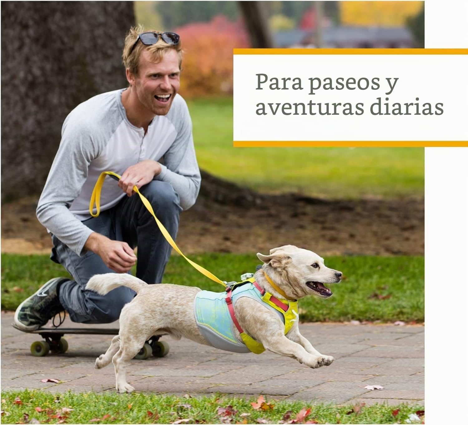 RUFFWEAR Arnés para Perros Hi & Light, Ultraligero para Caminar de Aventura, Totalmente Ajustable, Portal de Accesorios de Aluminio en V, Bolsa de identificación, Verde Liquen, Talla S, 56-69 cm