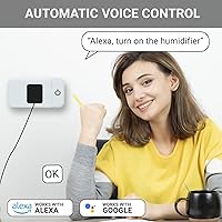 Vista 7 de Enchufe inteligente - 2 paquetes de enchufes Wi-Fi 2.4G para casa inteligente, funciona con Echo, Alexa y Google Home Enchufe inteligente