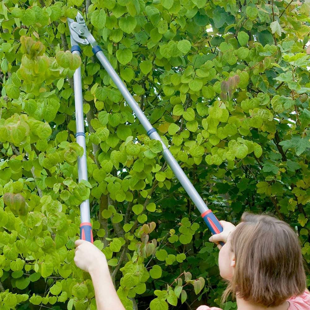 Spear & Jackson 4902RSS Razorsharp Steel Telescopic Anvil Lopper