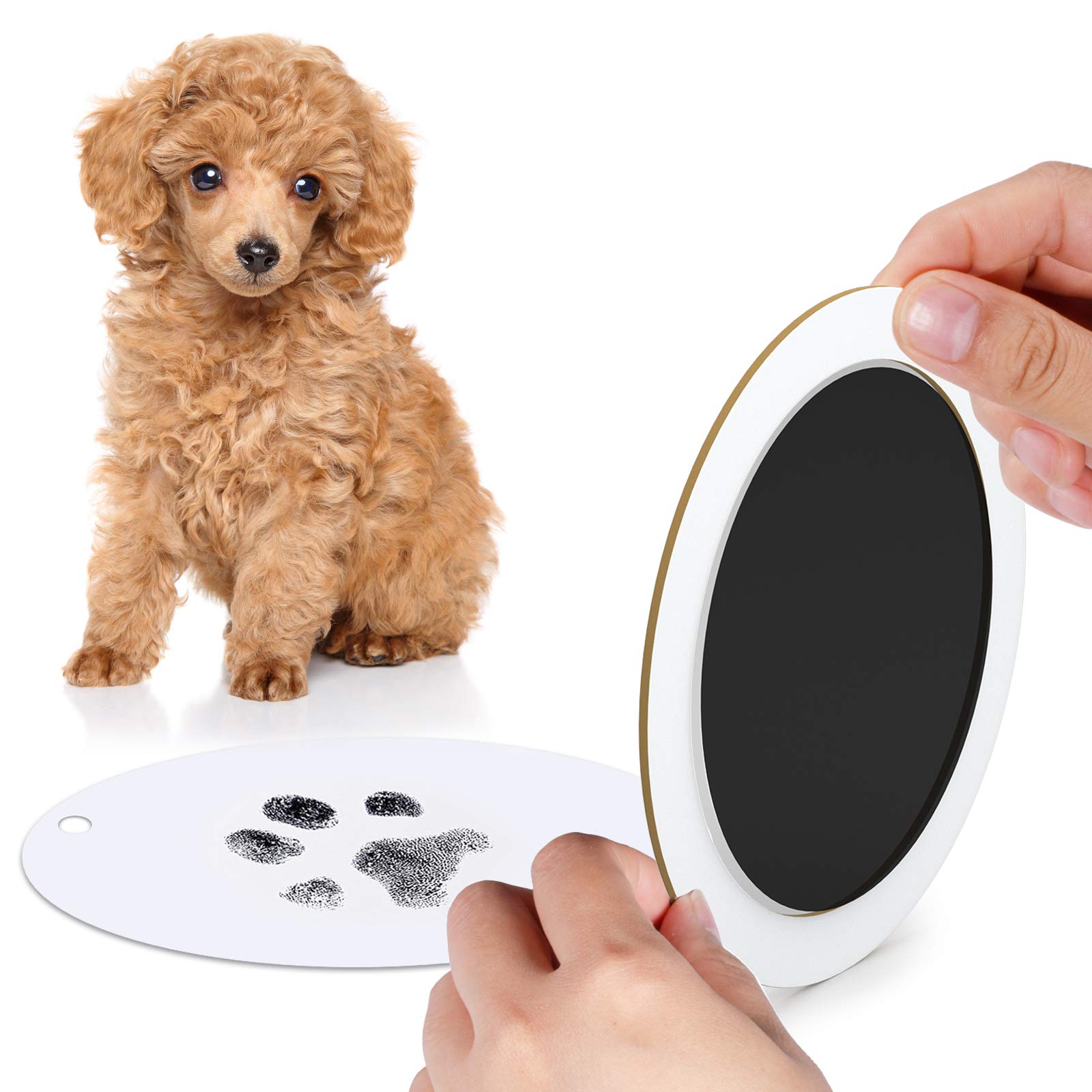 PChero Pet Paw Print Kit, 2pcs Clean-Touch Inkless Ink Pads and 4pcs Imprint Cards for Making Cats Dogs Puppy Pawprints - Black