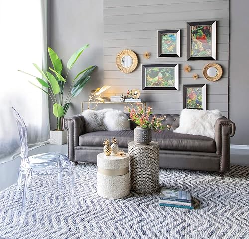 Miniatura 9 de T2 Concept 100% terracota Southern Living Collection Noam maceta envejecida vintage aspecto dramático para interiores o exteriores, sin agujero