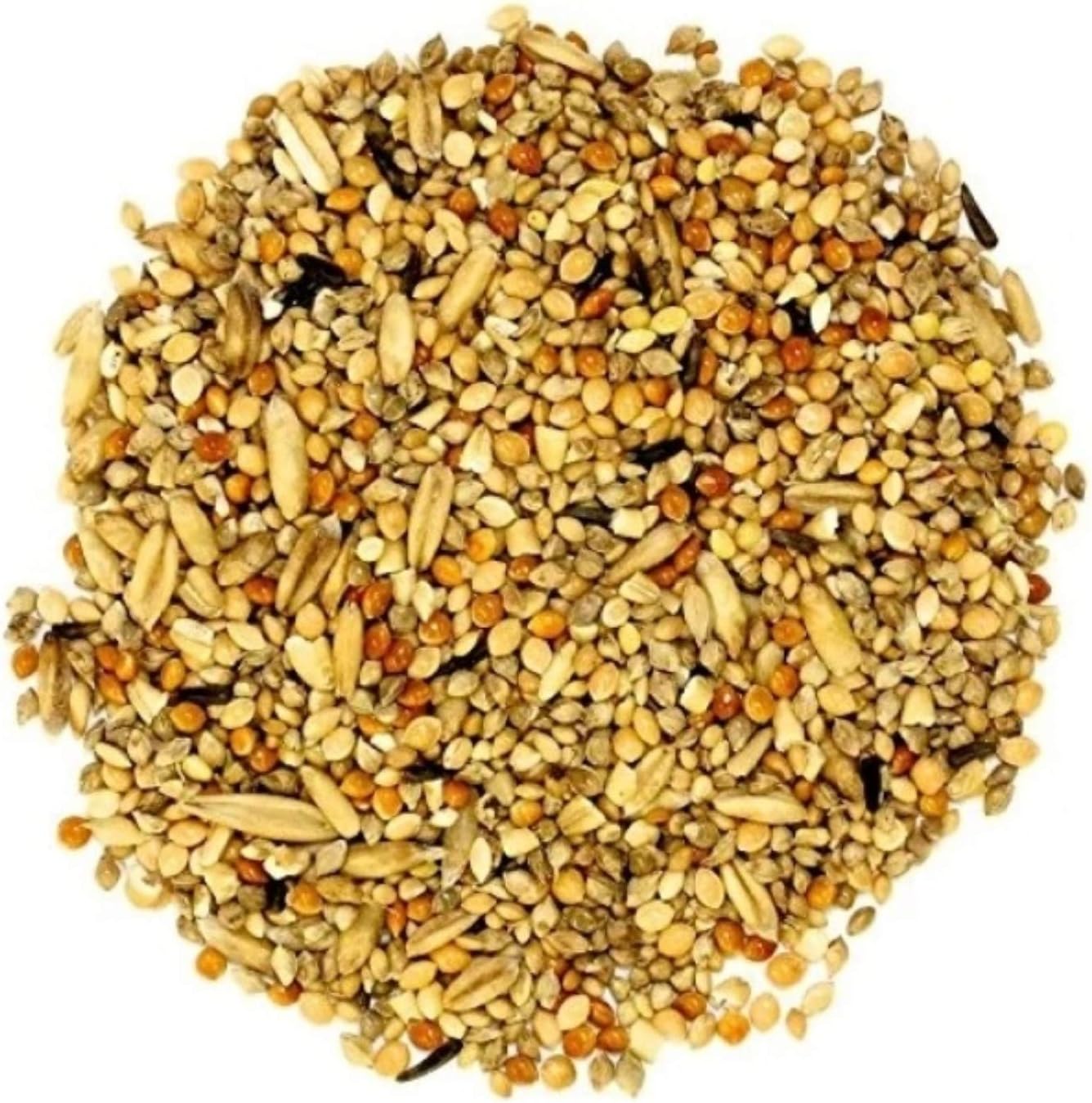 Just Click Fashion Bird Feeder Mix Seed Birds Food (450 G)