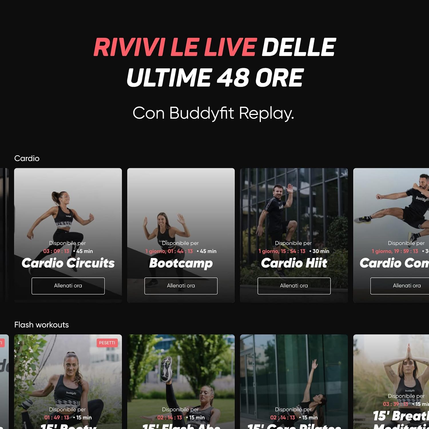 Vue 5