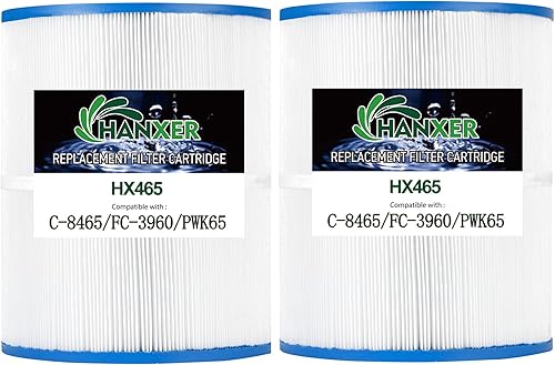 HANXER PWK65 - Cartucho de filtro de spa que reemplaza al filtro de bañera de hidromasaje C-8465, Watkins 31114, Filbur FC-3960, 71827, 71828, HANXER PWK65 - Cartucho de filtro de spa que reemplaza al filtro de bañera de hidromasaje C-8465, Watkins 31114, Filbur FC-3960, 71827, 71828,