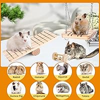 Vista 12 de VESPRO Juguetes de conejo para conejos, juguetes masticables de conejo para dientes, conejito para conejillos de indias, juguetes para masticar