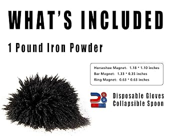 DAILYLIFE Bulk Iron Filings - 1 LB Iron Powder with 4 Magnets for Science Experiments, Magnet Education and School Projects