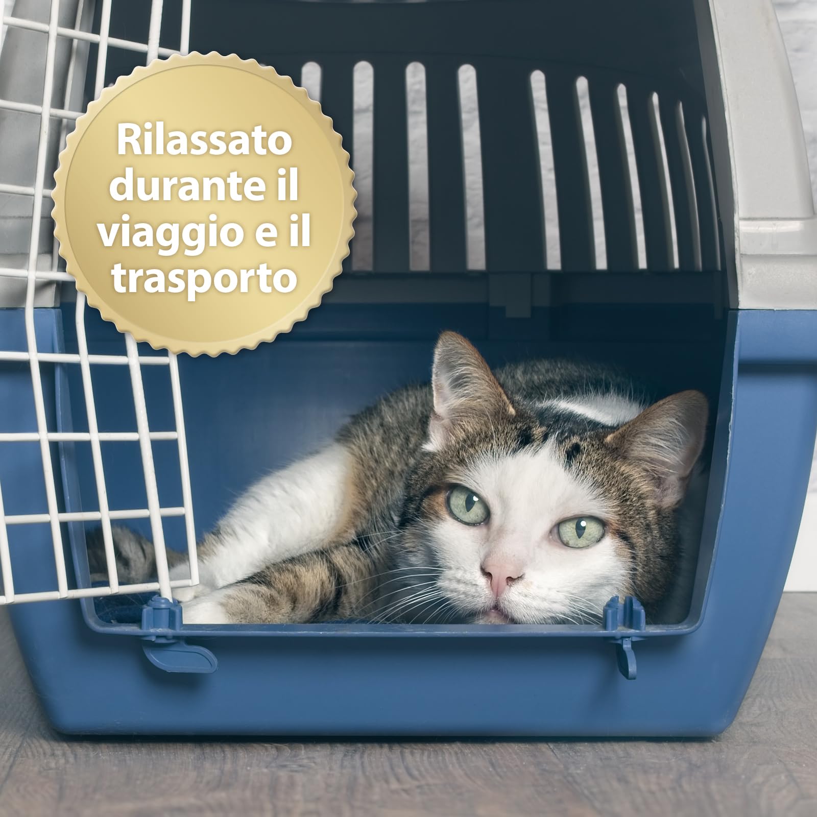 Felisept Home Comfort Spray Calmante Per L'Ambiente 100 ml - Con erba gatta naturale senza feromoni gatto - Benessere E Relax Per Il Gatto - Spray calmante gatto - Tranquillanti gatto