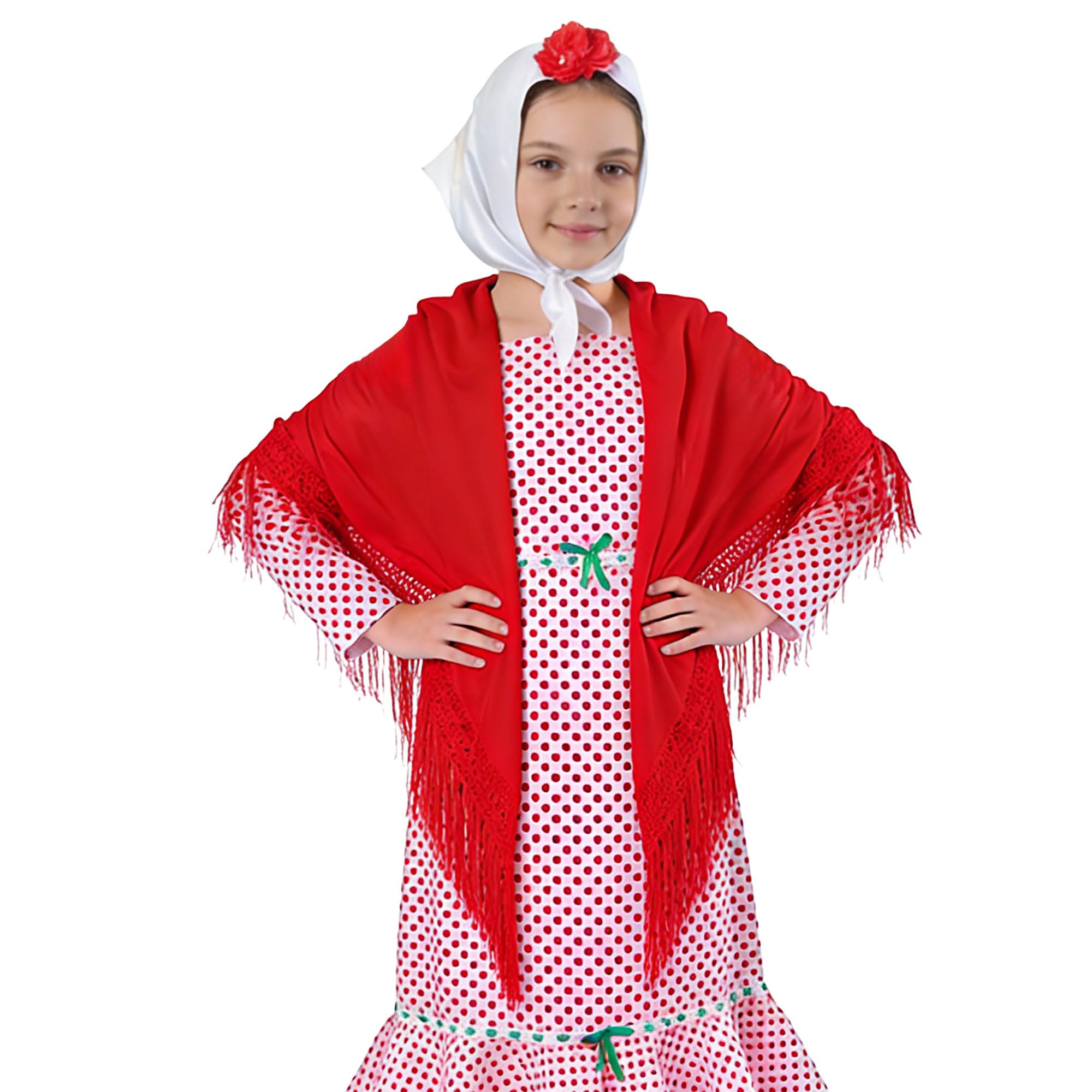 Wildarms Mantón de Sevillana Bordado con Flecos para Flamenco Feria Disfraz Baile Tradicional Mujer — view 4