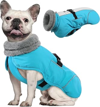 Queenmore Winter Dog Jackets, Dog Coats for Small Puppy, Warm Reflective Winter Dogs Coat, Waterproof Fall Pet Coats, Blue, S
