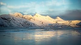 Review Image by Y. Wang Y. Wang