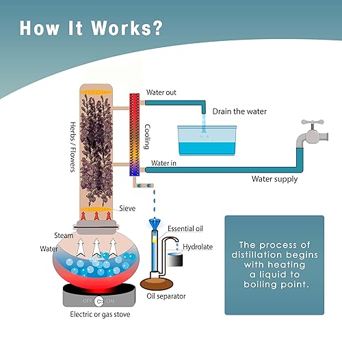 Miniatura 4 de Kit de destilador de aceites esenciales para destilación al vapor, fabricación y extracción de aceite, equipo de destilación para el hogar, aceite
