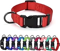 Vista 9 de AUDWUD Collar de nailon grueso, clásico ajustable, varios colores, adecuado para perros pequeños, medianos y grandes, 4 tamaños