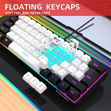 Snpurdiri 60% Wired Gaming Keyboard Compact RGB Illuminated Mini Keyboard with Mechanical Feel Quiet Membrane Keyboard with USB C Portable Office & Travel Keyboard for PC/Mac (Black White)