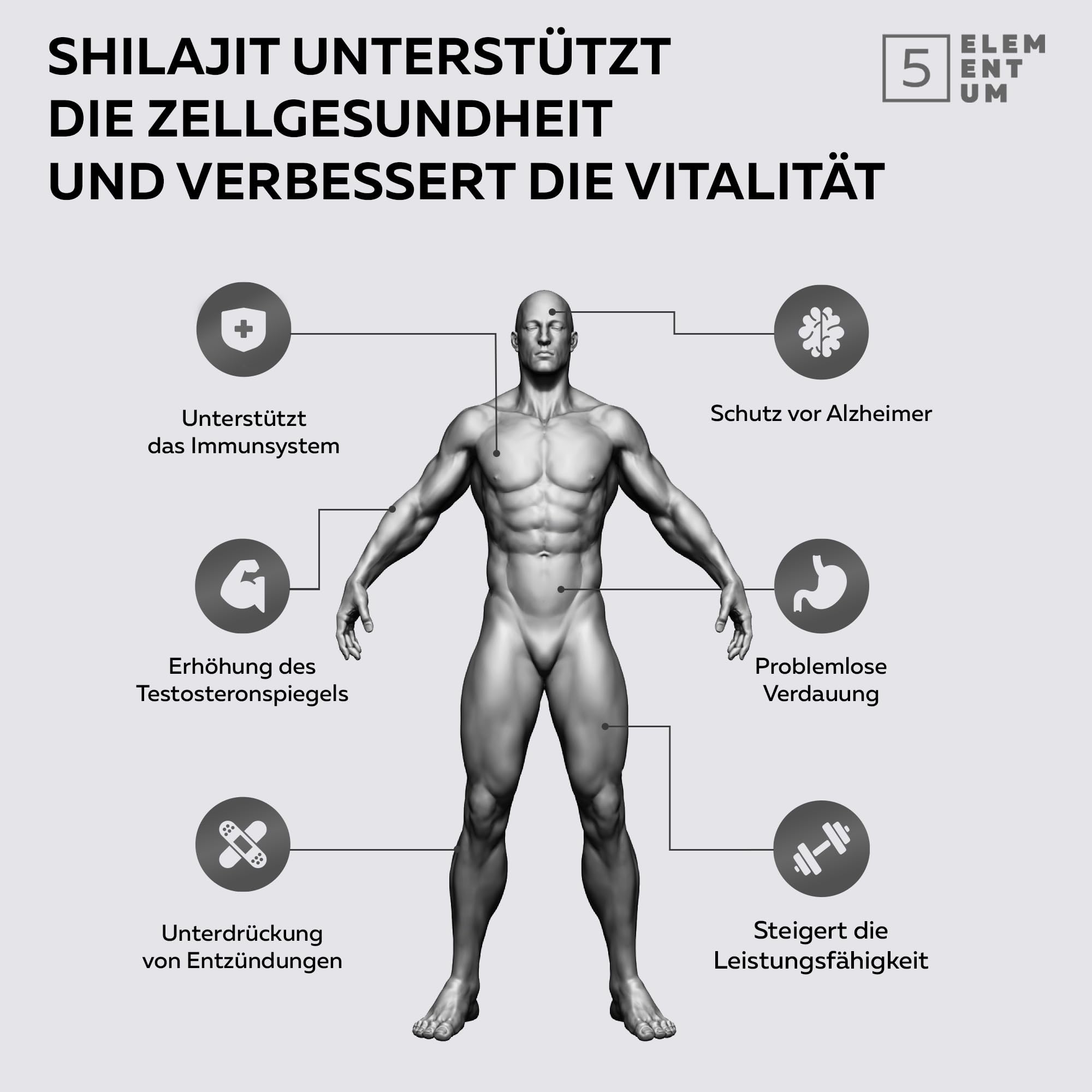 Original Shilajit Gummies – 100% Natürlich, Vegan & Zuckerfrei – Mit 71% Fulvinsäure – Energie & Verträglichkeit – 60 Gummibärchen