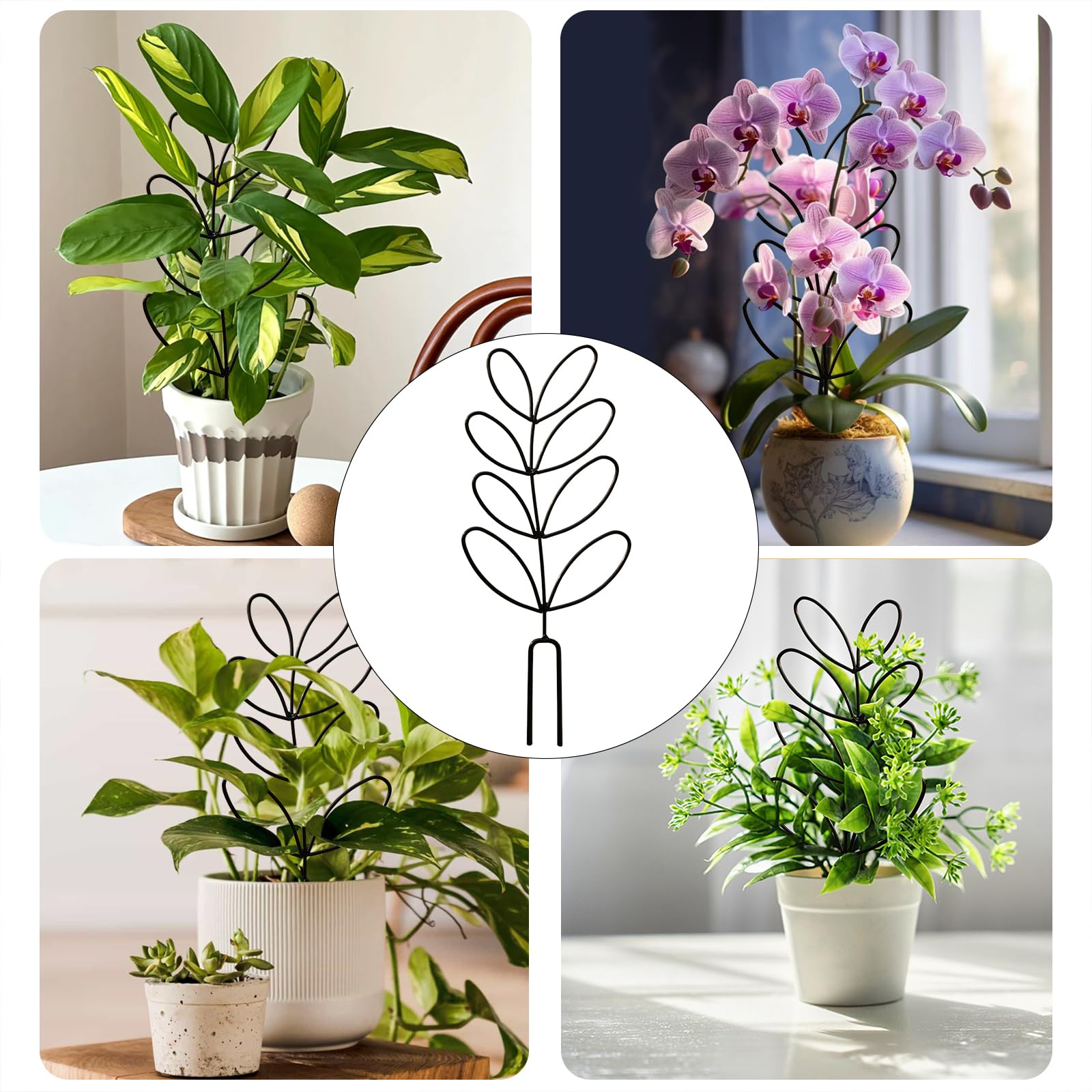 Tuteurs Pour Plantes Grimpantes En Pot - Lot De 2 Supports Métal Noir 31,5 Cm - Style Feuille, Pour Intérieur/extérieur