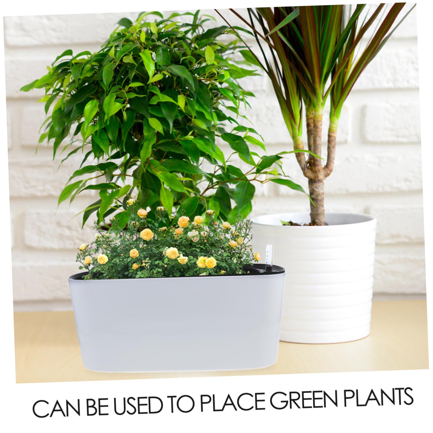 Toddmomy Pot de Fleur Auto Irrigant Rectangulaire avec Indicateur de Eau Pot pour Balcon et Intérieur Auto Arrosage Pratique pour Plantes et Fleurs Moyenne Blanc