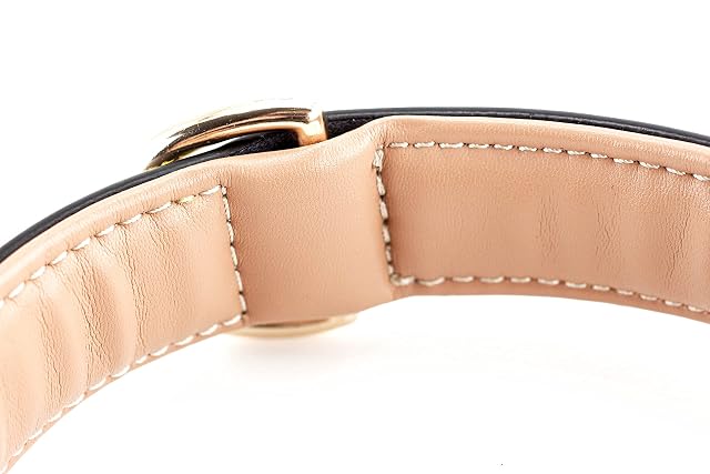 Foto 6 de 8 de Brute Strength Collar Perro Negro, Costuras Amarillas L · 46–53 x 3,5 cm