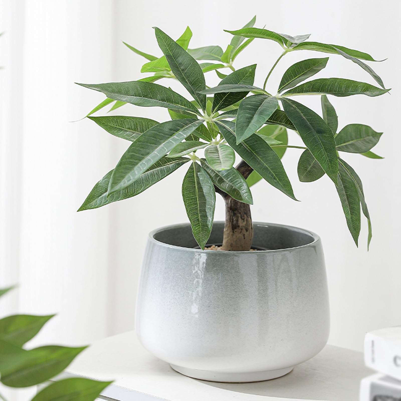 macetas para plantas Doniczka dobrze komponuje się z orchideą, kaktusem, sukulentami, aloesem, bazylią, kwiatami roślin powietrznych, wężownicą dla Domu Ogrodowego