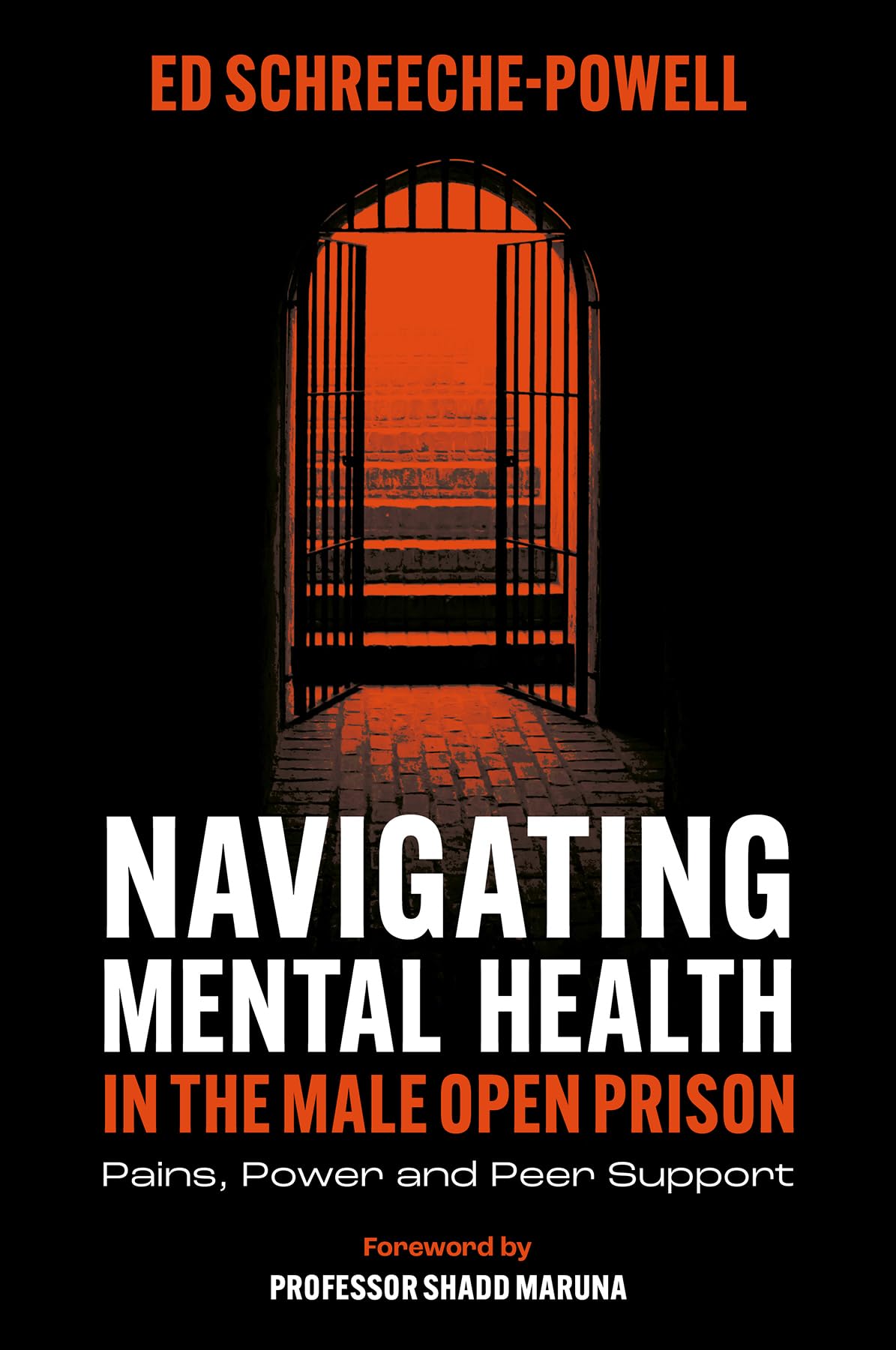 Navigating Mental Health in the Male Open Prison  Pains Power and Peer Support