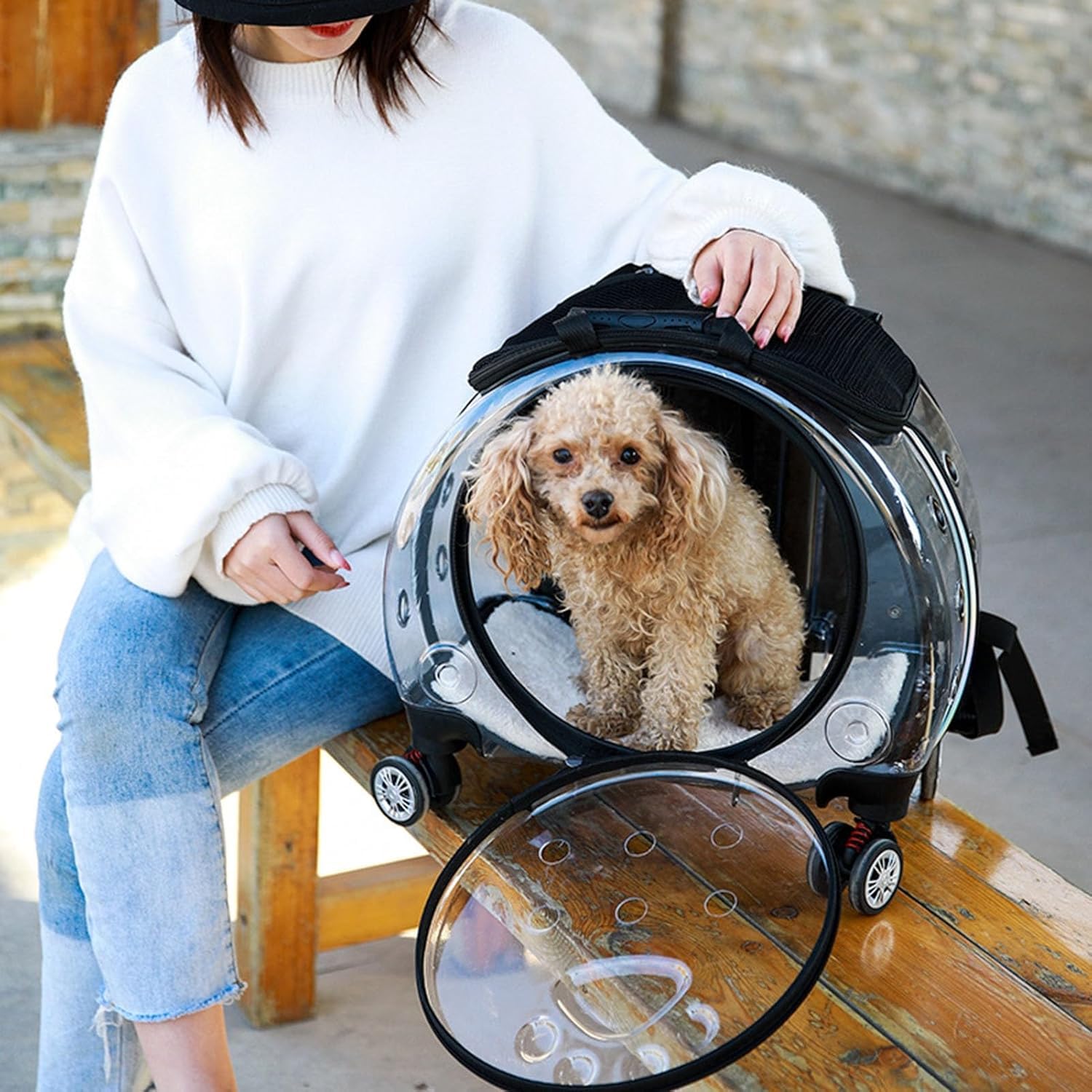 Bolsa de lona para mascotas con agujeros de ventilación, arnés para mascotas, arnés rodante, bolsa de lona transparente con ventana, carro de bebé para perros pequeños, jaula para gatos con ruedas