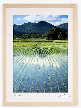 絵画 インテリア 絵 額付 (白) 油絵 F4-080311 風景（畑と木） 絵画