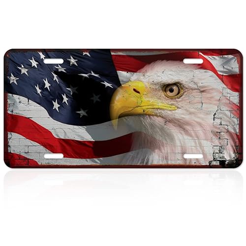 Placa decorativa de bandera estadounidense con letrero de águila novedosa para automóvil, 6 x 12 pulgadas, libre de óxido, aluminio 040, resistente