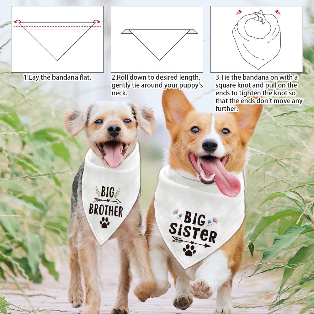 arricraft 4 Pcs Polyester Pet Bandanas - Image 4