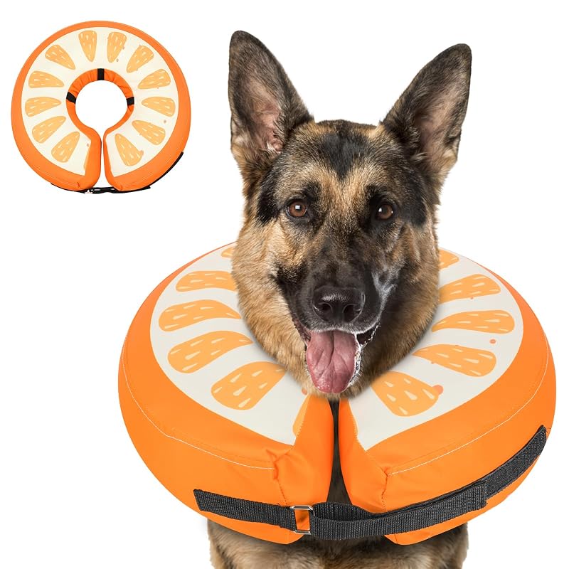 Colar Inflável de Recuperação para Cães MIDOG em Formato de Donut Orange L+ (27,94–35,56 cm)