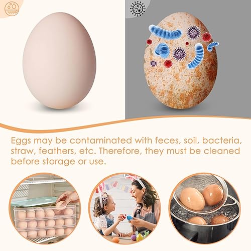 Miniatura 2 de LIYUPOND Limpiador de cepillo de huevos frescos, limpiador de huevos para huevos frescos, lavadora de huevos para huevos frescos, herramientas de