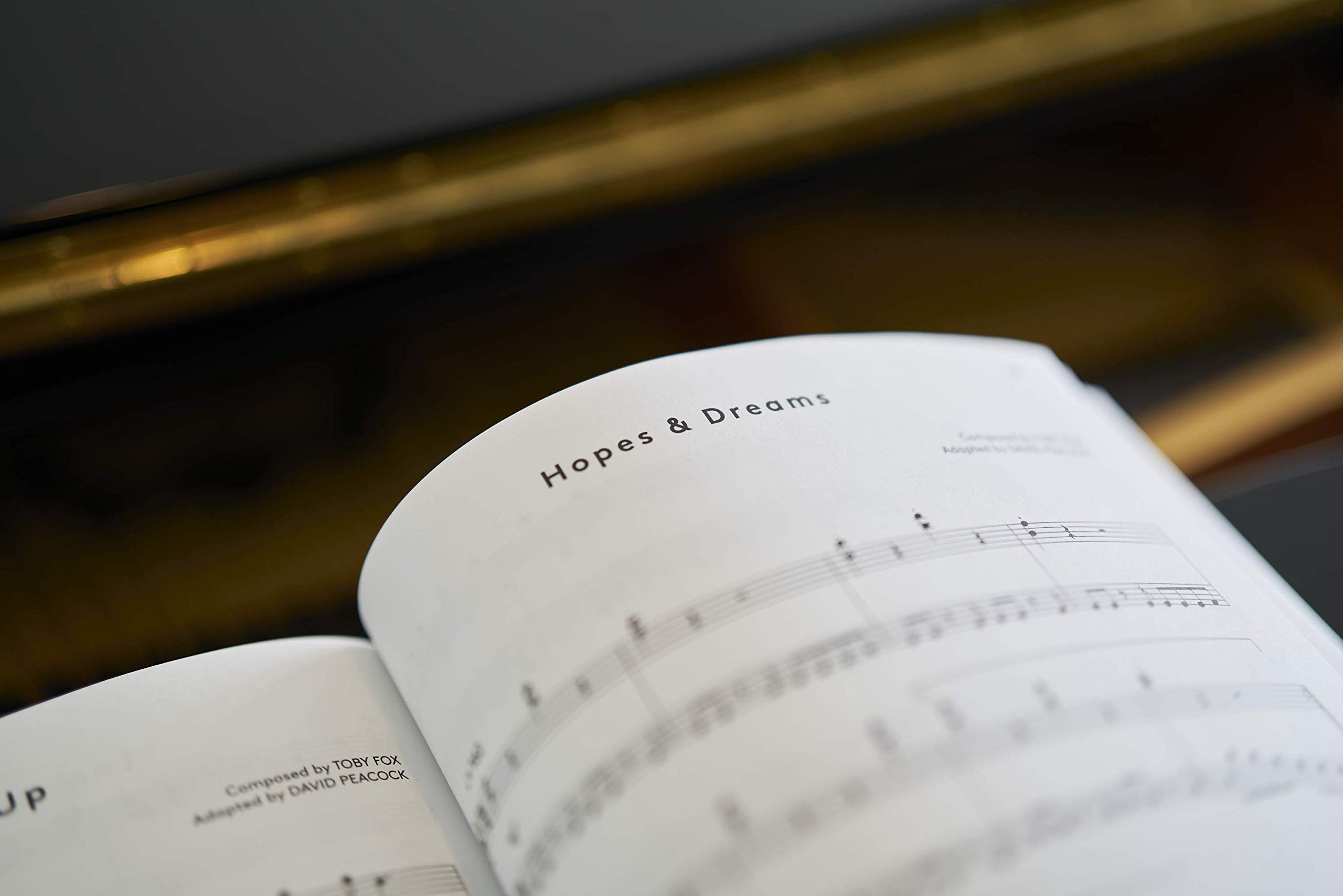 Undertale Complete Piano Score - Noten aus dem Spiel [Perfektes Taschenbuch] Toby Fox und David Peacock