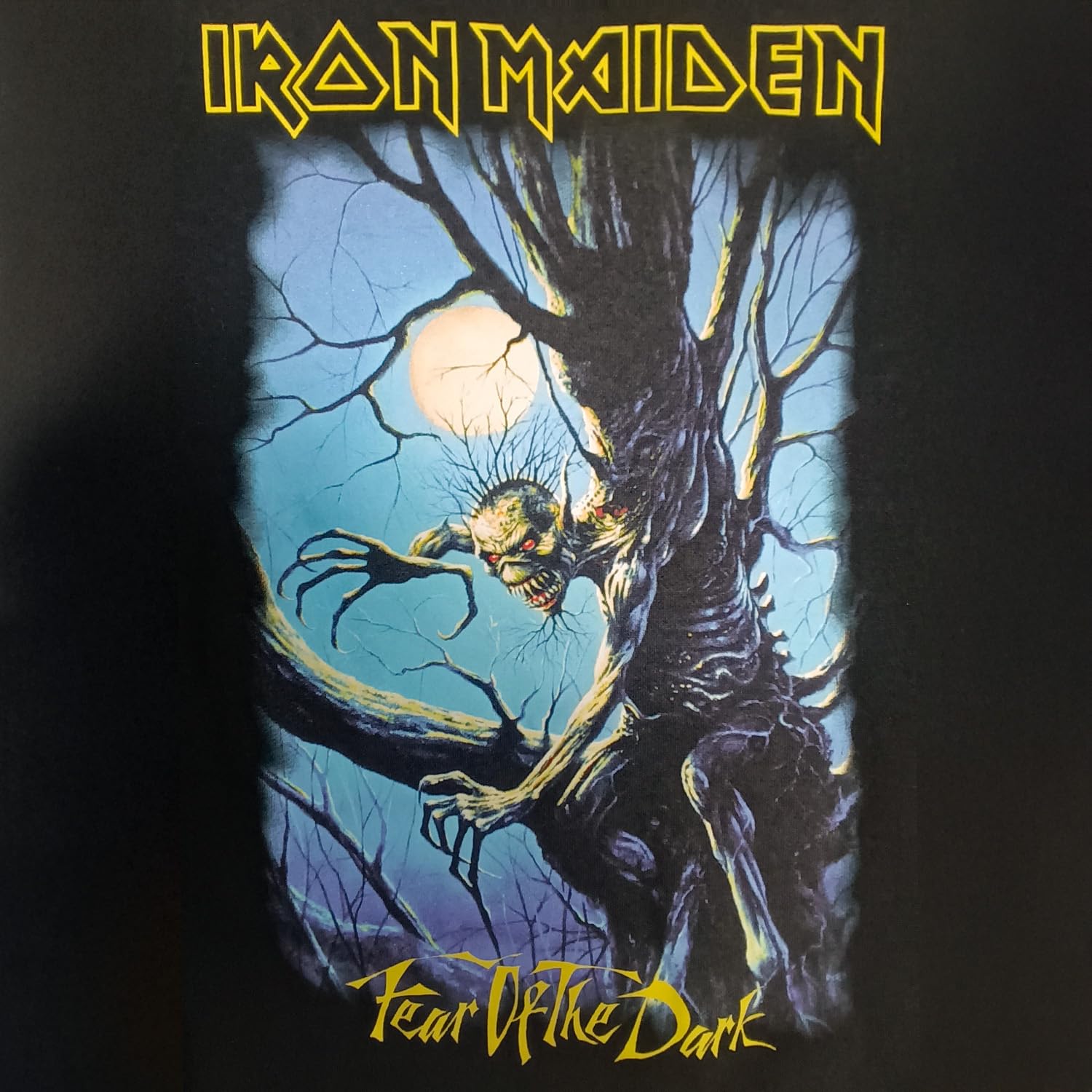 Iron Maiden Felpa Ufficiale Fear of The Dark. Felpa con Cappuccio Unisex in Cotone. vestibilità Regular per Adulto e Ragazzo