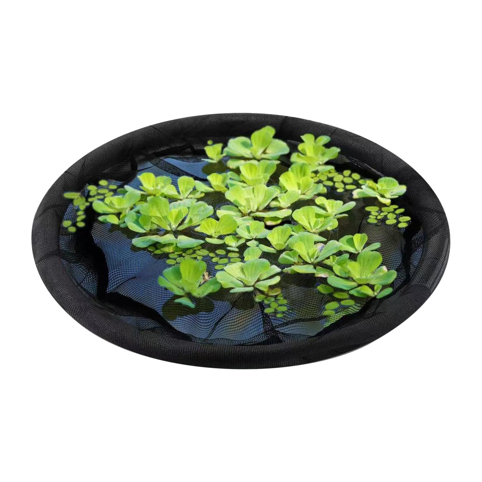 Schwimminsel Teich, 60/64/80cm Schwimmende Pflanzinsel – Pflanzenschutz Mit Feinmaschigem Netz, Wiederverwendbar. Perfekt Für Gartenteich, Fischteich, Wasserspiele. Schützt Wasserpflanzen, Fördert