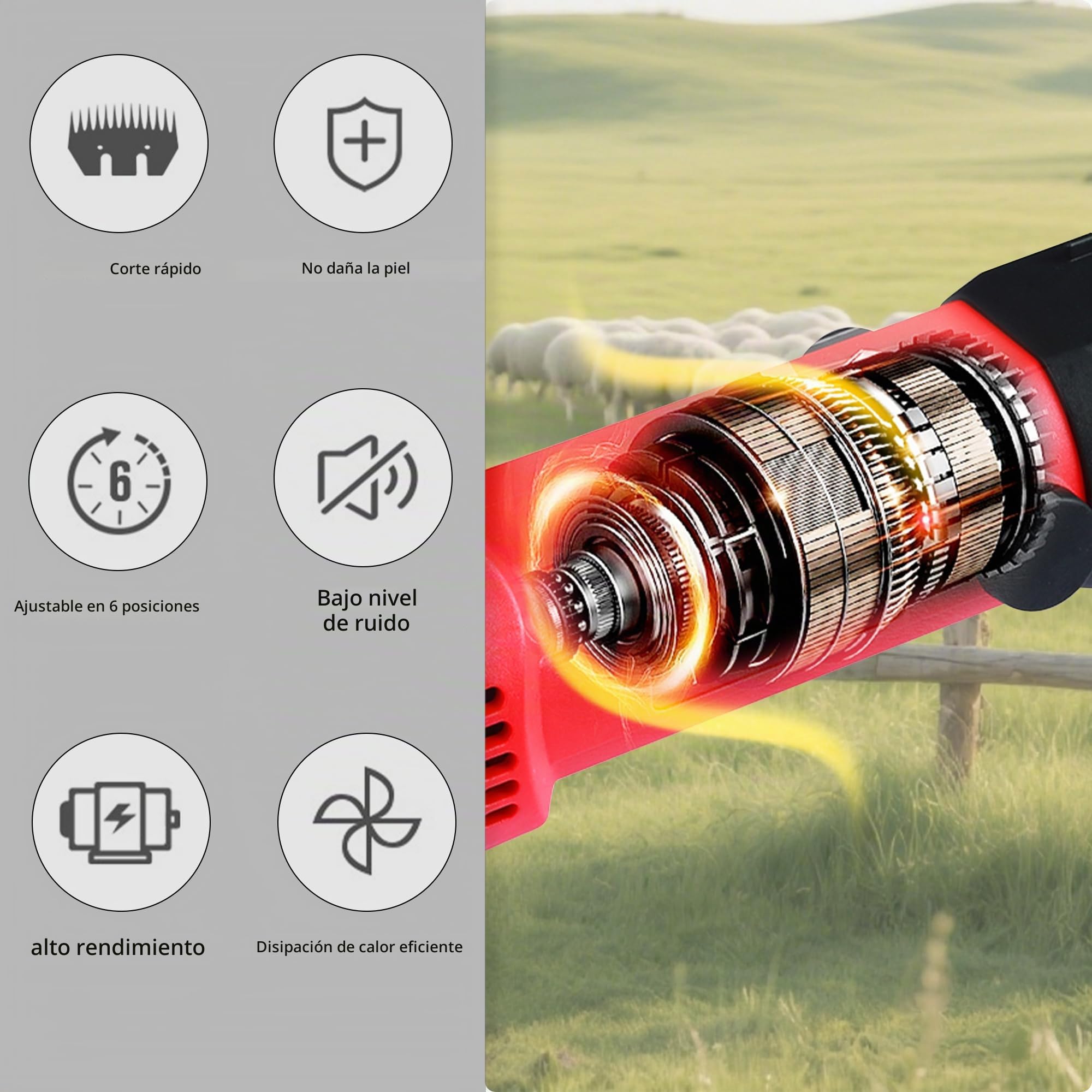 Maquina Esquilar Ovejas 1000W, Tijeras EléCtricas Profesionales Para Ovejas Con Estuche Cortapelos Para Caballos Con 6 Velocidades Regulables Cabras Caballos, Guantes Antideslizantes