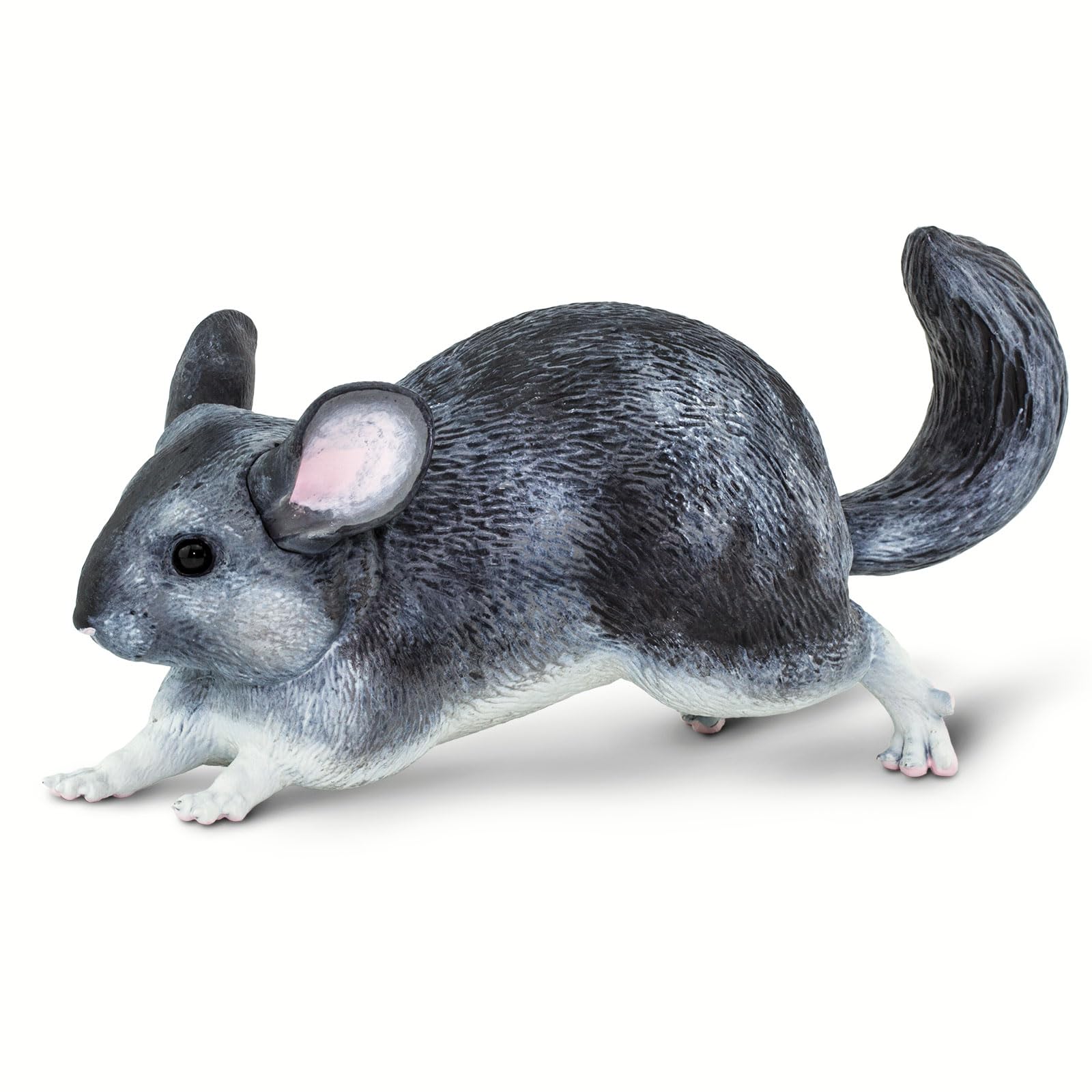 Amazon.com: Safari Ltd. Chinchilla Figurine - Hand-Painted