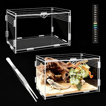 360  Acrylic Terrarium Snails 20 x 12 x 12 cm Acrylic Terrarium A