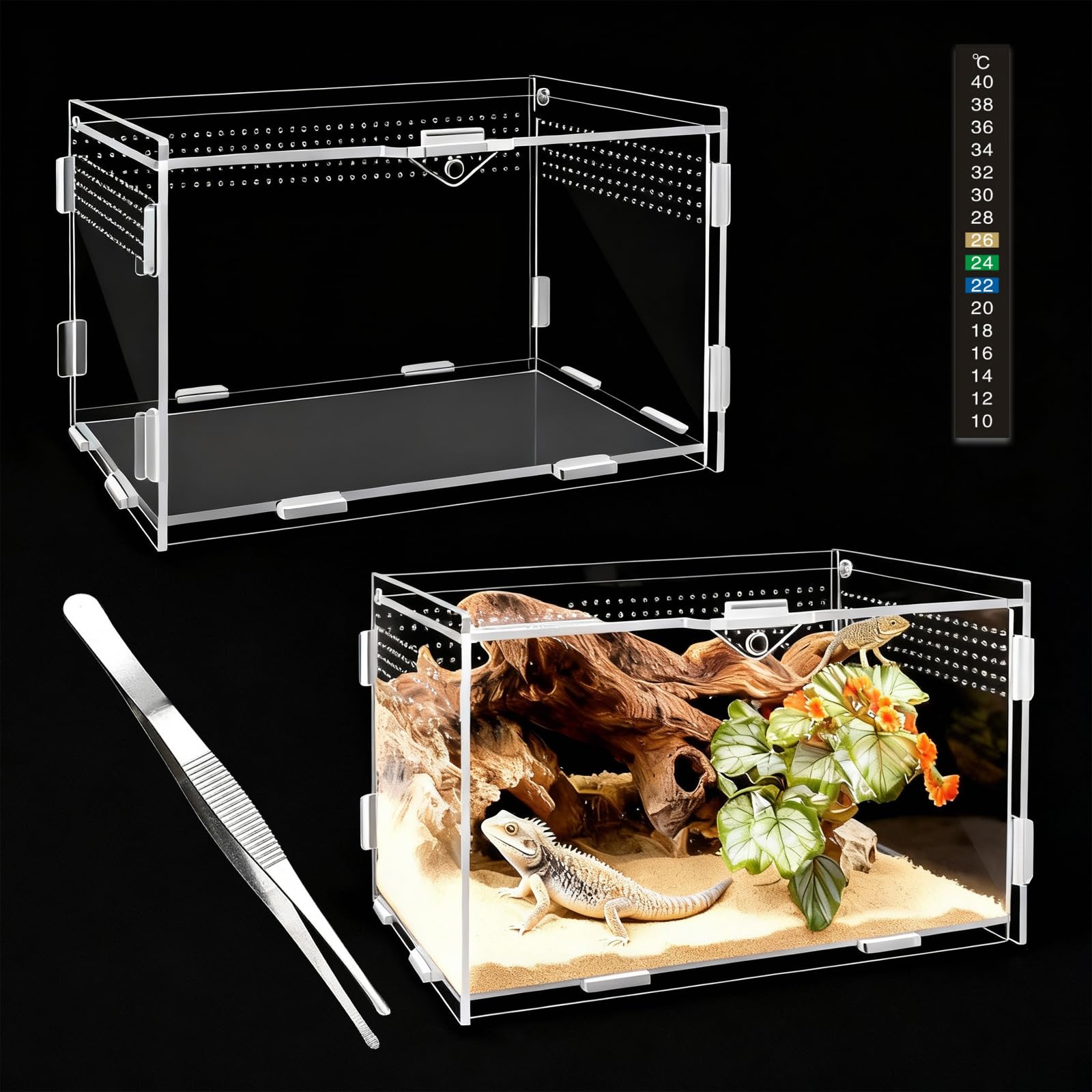 360°Terrarium à Escargots en Acrylique, 20x12x12cm Terrarium Acrylique, Transparent Vivarium, Cage D'élevage de Reptiles Respirante, Cage D'élevage en Plastique pour Lézard, Mille Pattes