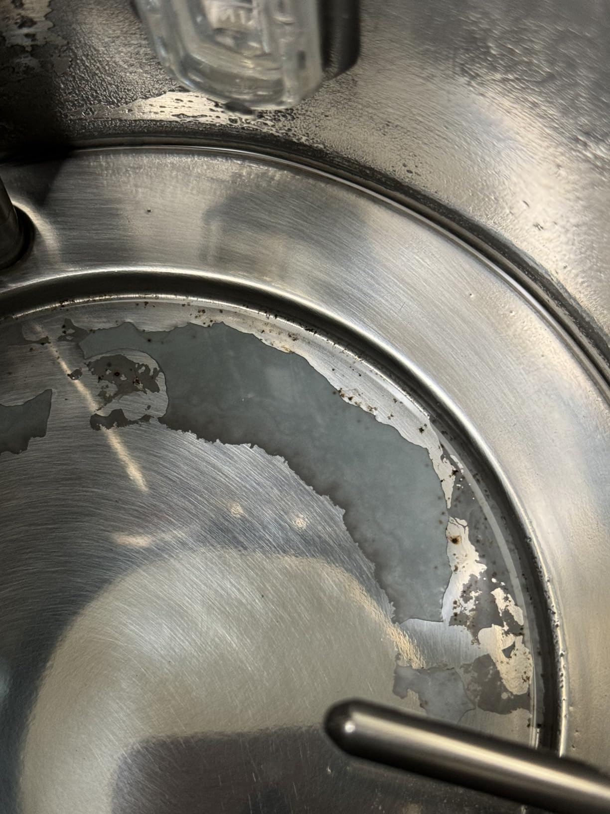 Read our honest Susteas Electric Kettle Review and see if this elegant kettle is the perfect addition to your kitchen setup.