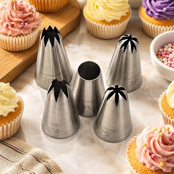 #1A #2F #2D #1M #2CZ Seamless Stainless Steel Piping Icing Tips, 5 Pack Extra Large Piping Nozzles Cupcake Decorating Kit