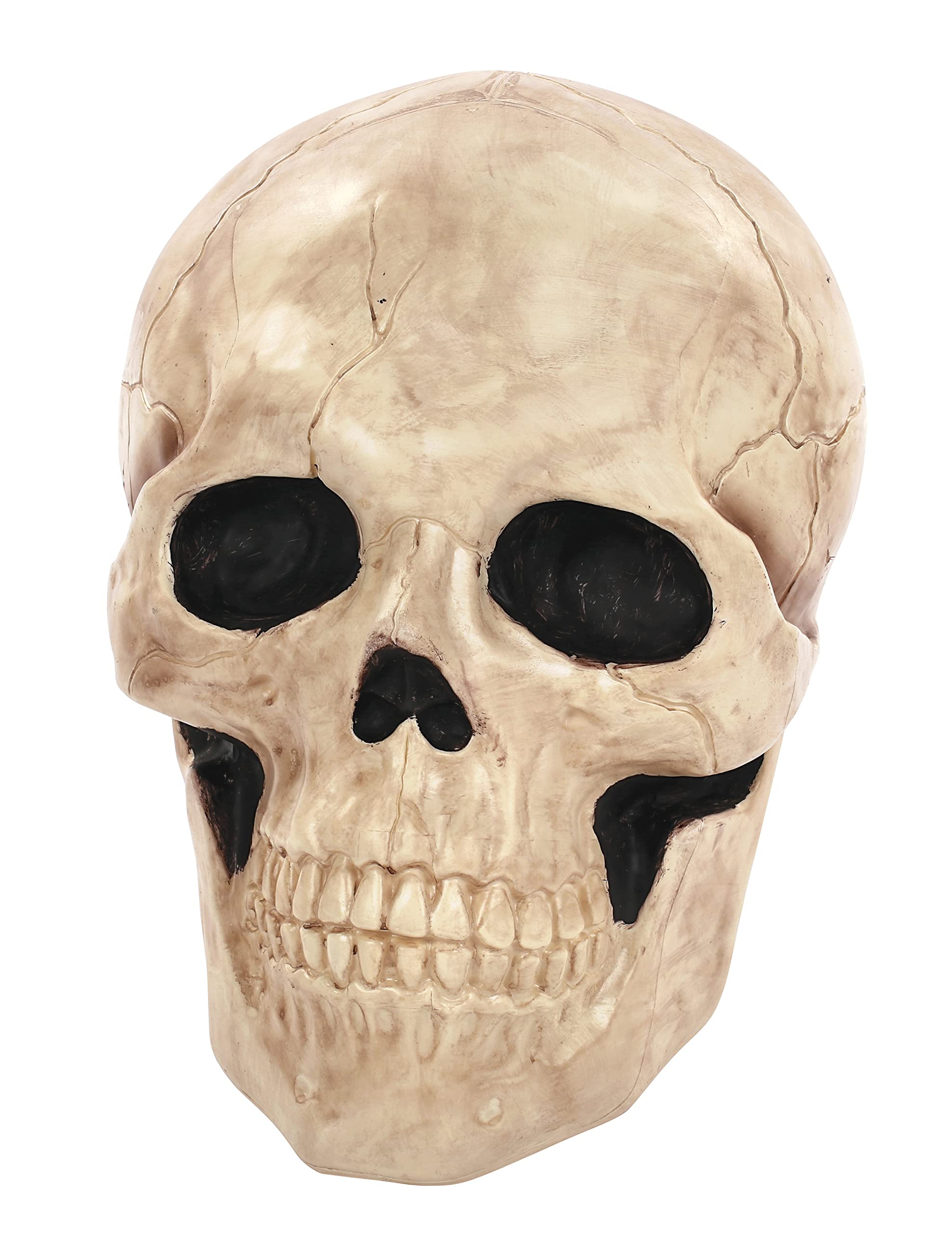 Amazon.com: Crazy Bonez Giant Skull, 17