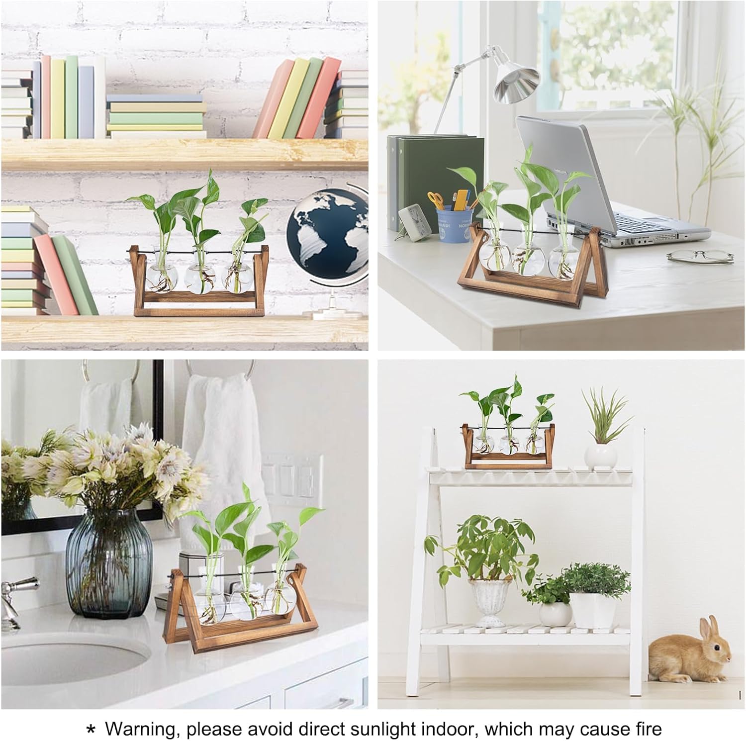 3 Bulb Glass Plant Propagation Station