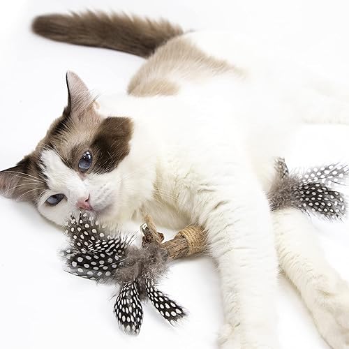 Miniatura 8 de PAZ'S GIFT Juguete de hierba gatera Juguetes para gatos Gatera, juguete masticable para gato, patadas, plata, palo, limpieza de dientes, lindo