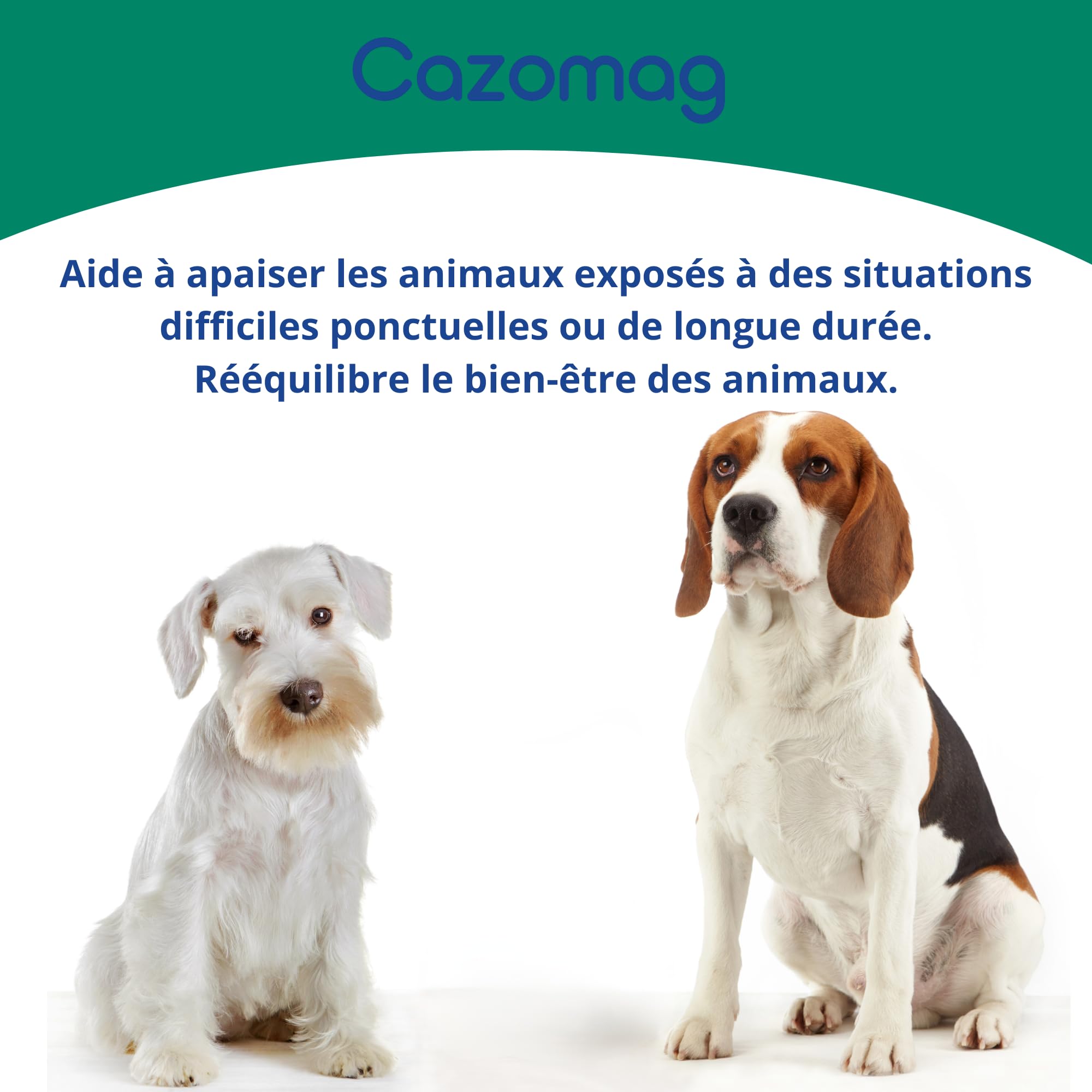 Cazomag 450 - Aliment complémentaire apaisant Chien & Chat - Ingrédients Naturels pour Favoriser Le Calme - Soutien en périodes Difficiles: Voyage, Bruit, Solitude - 30 comprimés appétents - Anidev