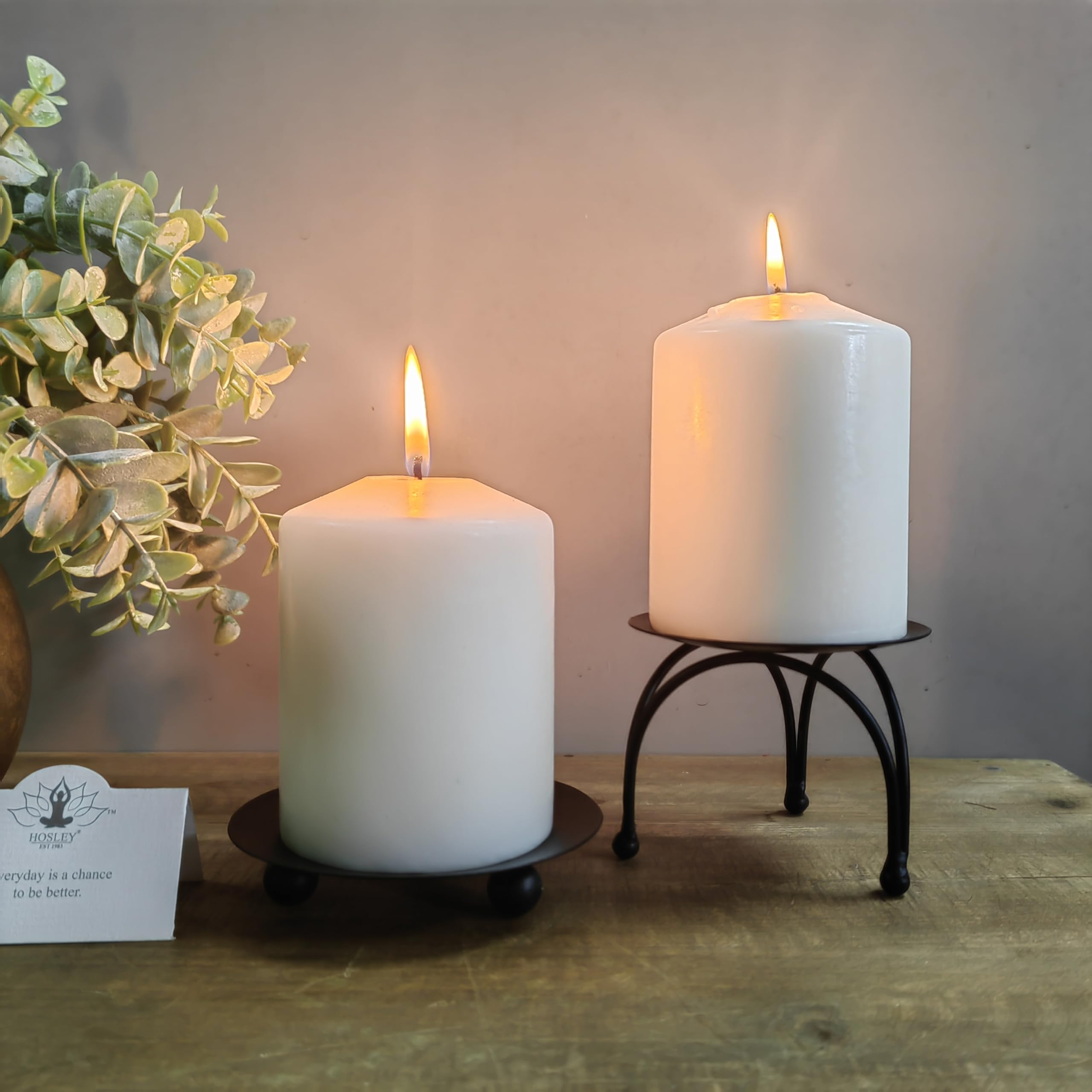 Amazon.co.jp: Hosley 4 